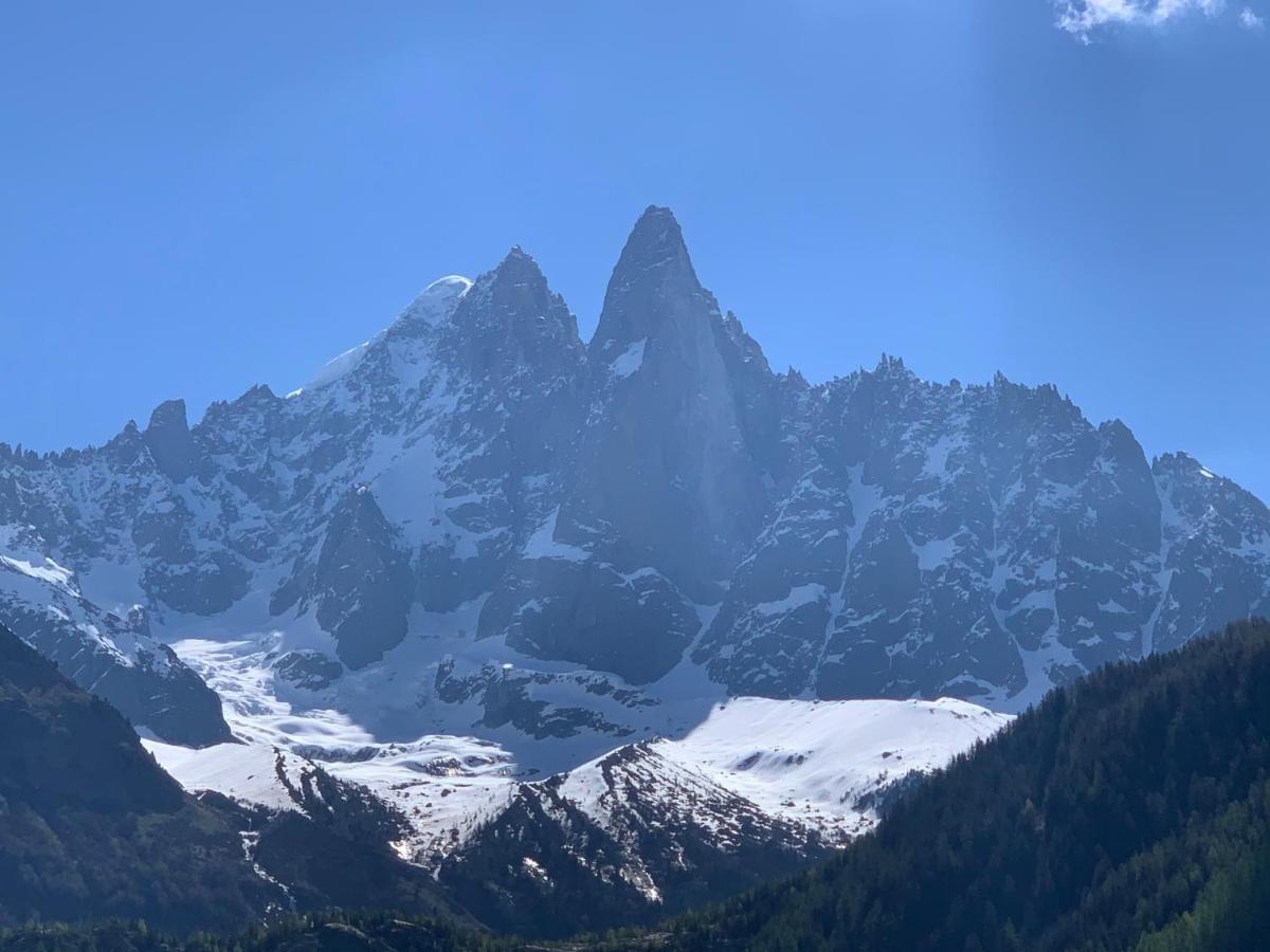 Hotel Le Labrador Chamonix Eksteriør billede