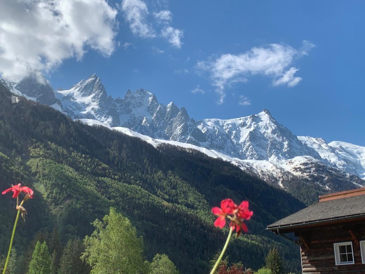 Hotel Le Labrador Chamonix Eksteriør billede